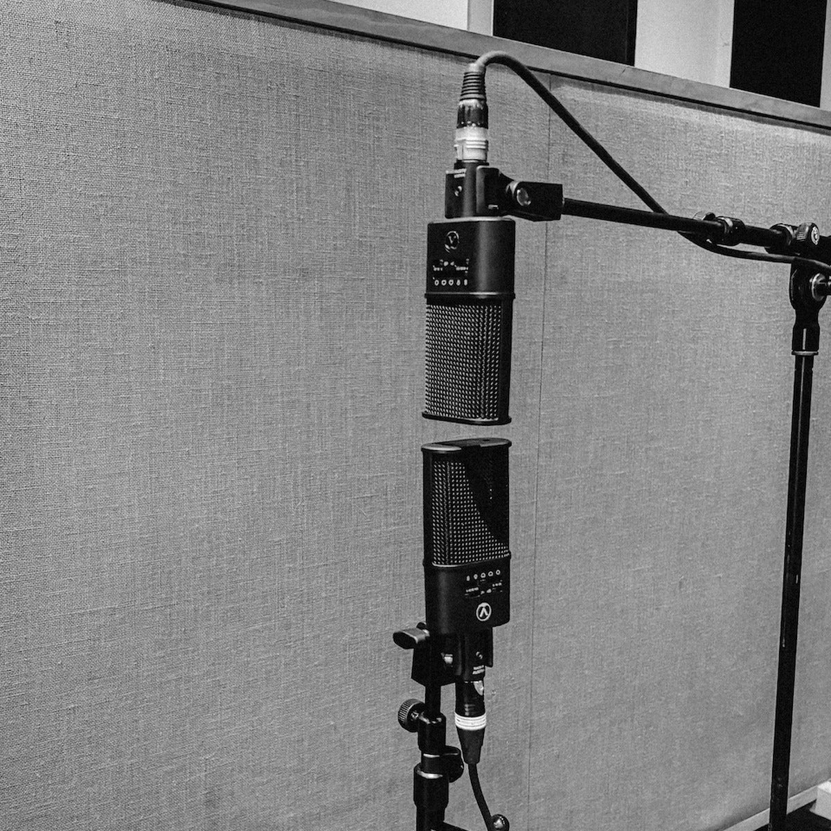 Austrian Audio OC616 stereo pair on a stand in the studio