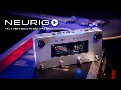 Zoom NEURIG official introduction video
