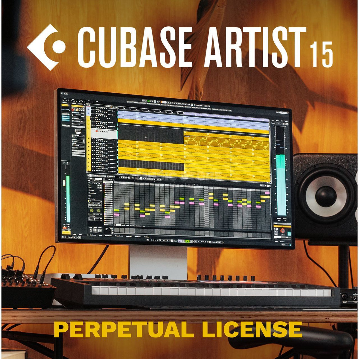 Steinberg Cubase Artist 15 DAW software box with logo and product name, featuring a sleek black design and digital interface on the cover.