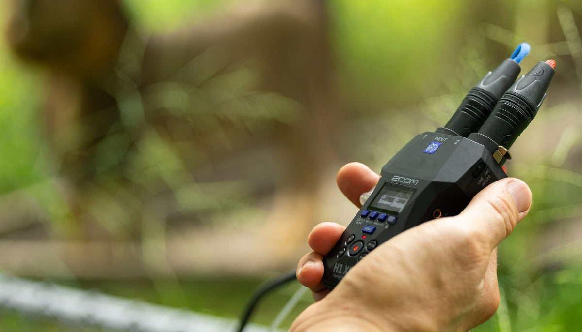 Zoom H1 XLR field recorder, close-up detail.